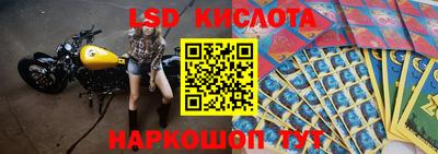 шишки Обнинск