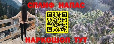 шишки Обнинск